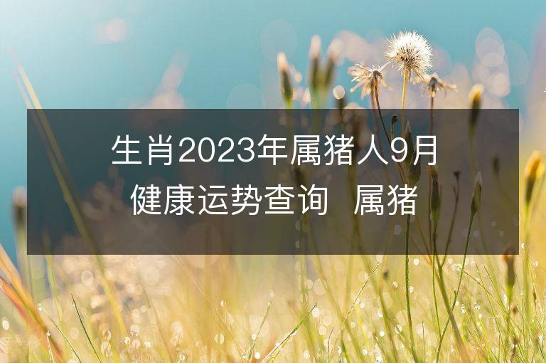 生肖2023年屬豬人9月健康運勢查詢  屬豬的人來看看！