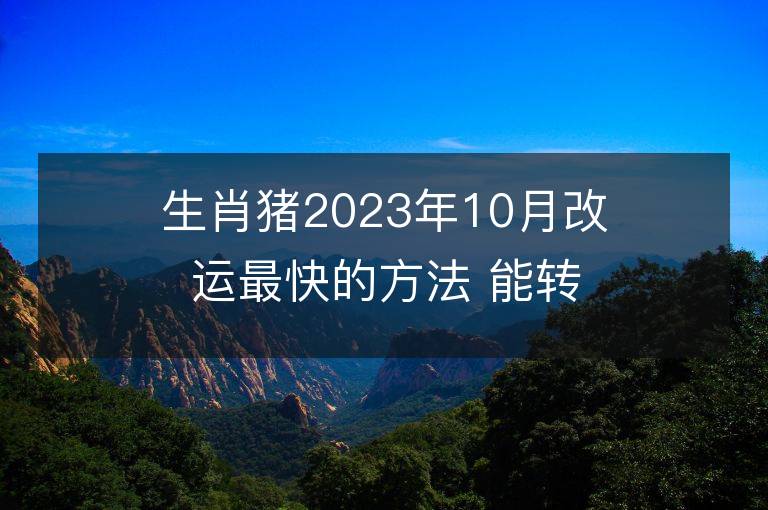 生肖豬2023年10月改運最快的方法 能轉大運嗎