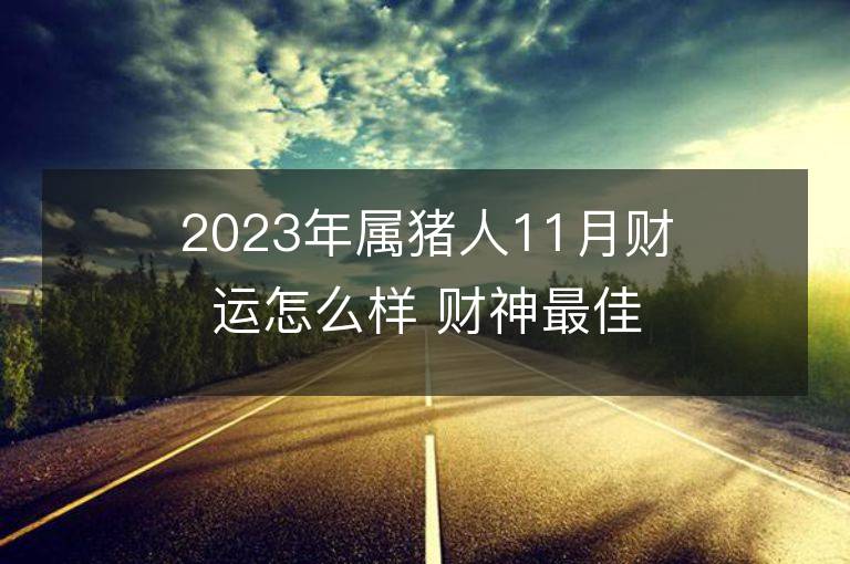 2023年屬豬人11月財運怎么樣 財神最佳方位