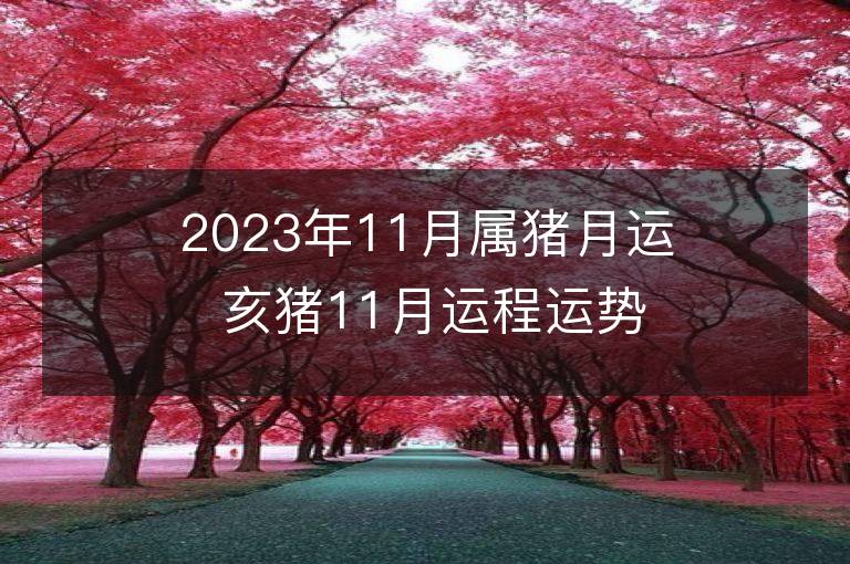 2023年11月屬豬月運 亥豬11月運程運勢趨勢詳解