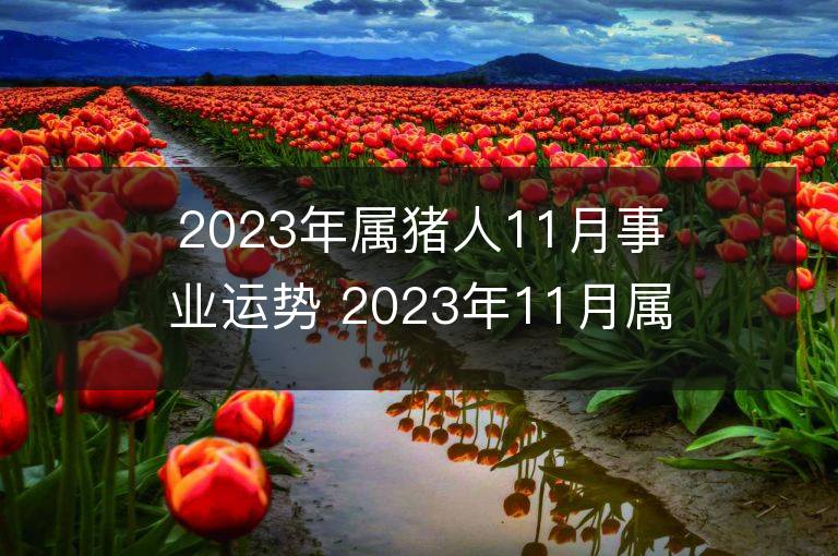 2023年屬豬人11月事業(yè)運勢 2023年11月屬豬人事業(yè)運程詳解