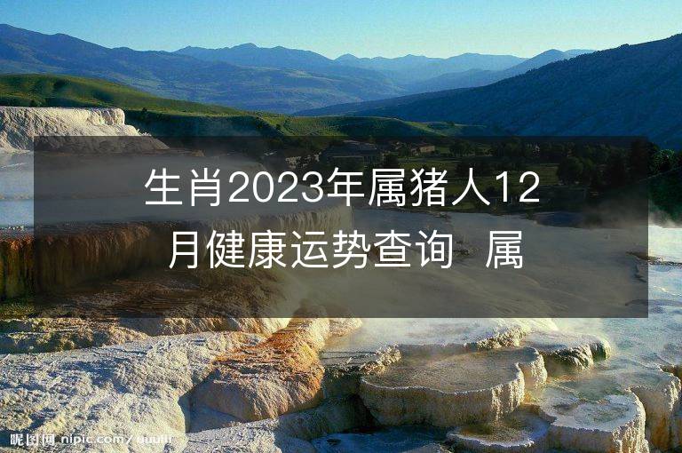 生肖2023年屬豬人12月健康運(yùn)勢查詢  屬豬的人來看看！