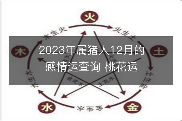 2023年屬豬人12月的感情運(yùn)查詢 桃花運(yùn)勢是好是壞