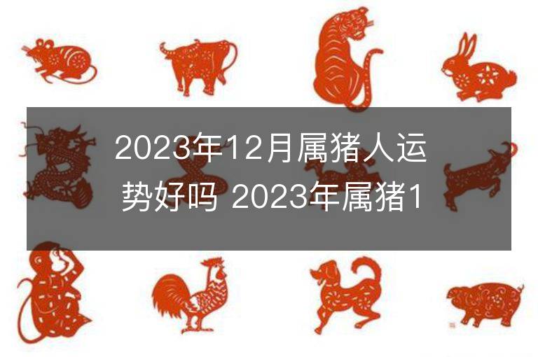 2023年12月屬豬人運(yùn)勢(shì)好嗎 2023年屬豬12月運(yùn)程如何