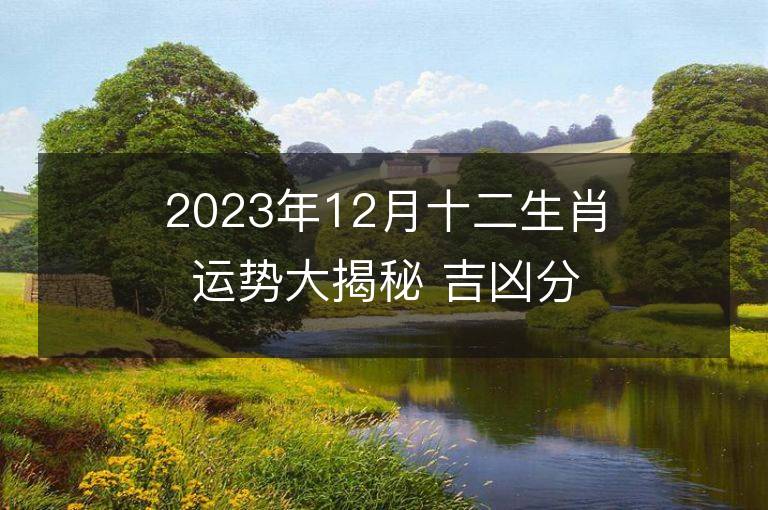 2023年12月十二生肖運勢大揭秘 吉兇分析