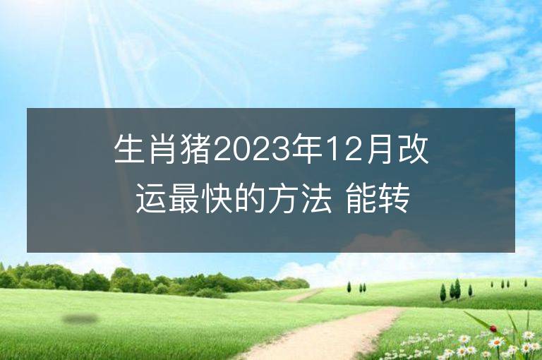 生肖豬2023年12月改運最快的方法 能轉大運嗎