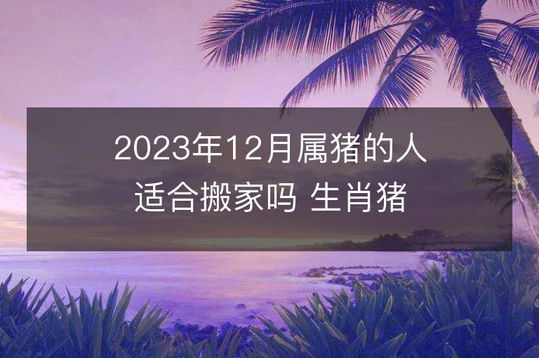 2023年12月屬豬的人適合搬家嗎 生肖豬12月搬遷好不好