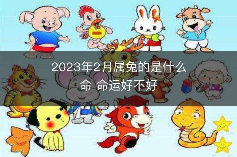 2023年2月屬兔的是什么命 命運好不好