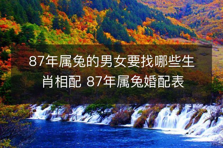 87年屬兔的男女要找哪些生肖相配 87年屬兔婚配表