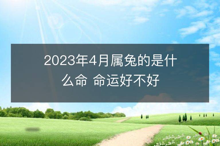 2023年4月屬兔的是什么命 命運好不好