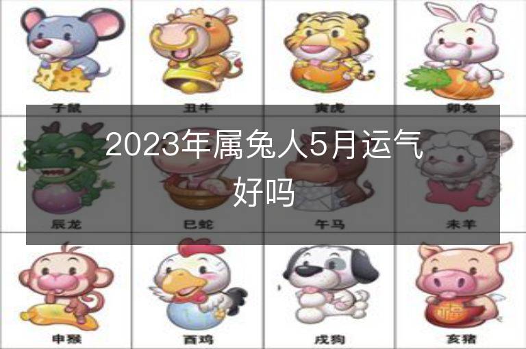 2023年屬兔人5月運氣好嗎