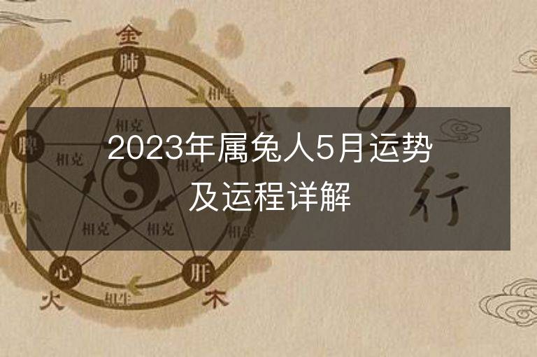 2023年屬兔人5月運(yùn)勢(shì)及運(yùn)程詳解