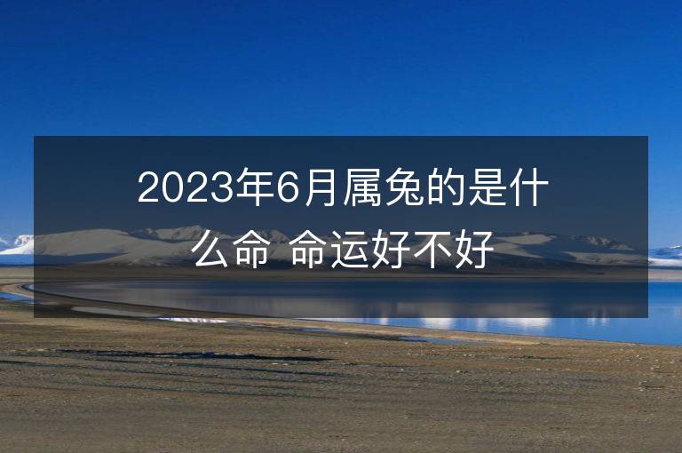 2023年6月屬兔的是什么命 命運好不好