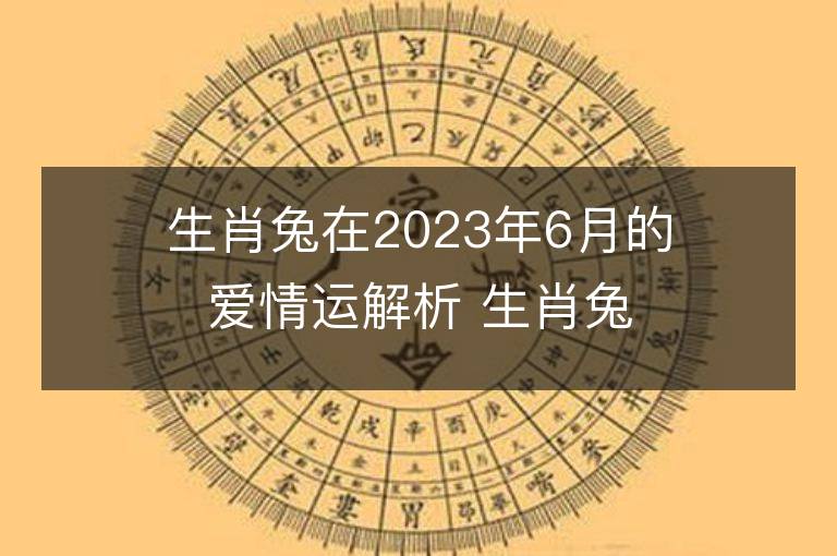 生肖兔在2023年6月的愛情運解析 生肖兔在2023年6月的愛情運解析