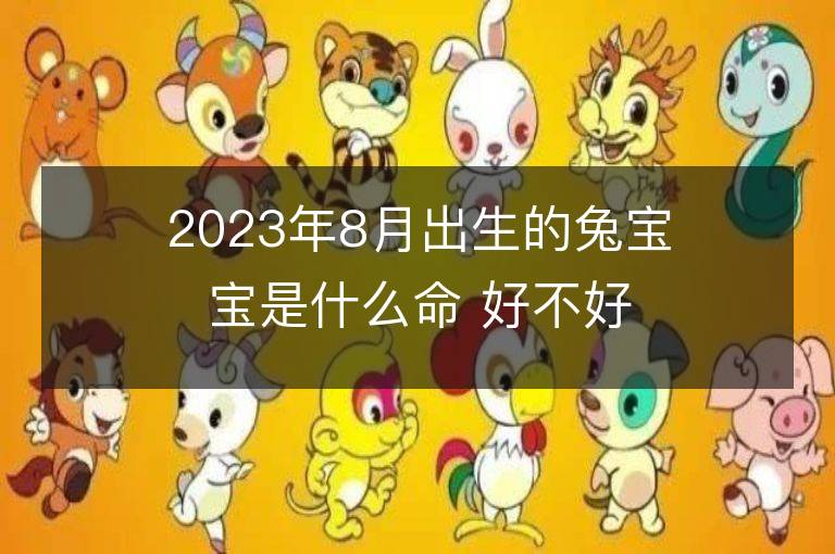 2023年8月出生的兔寶寶是什么命 好不好