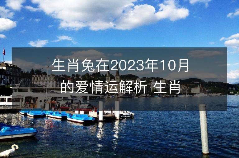 生肖兔在2023年10月的愛情運解析 生肖兔在2023年10月的愛情運解析