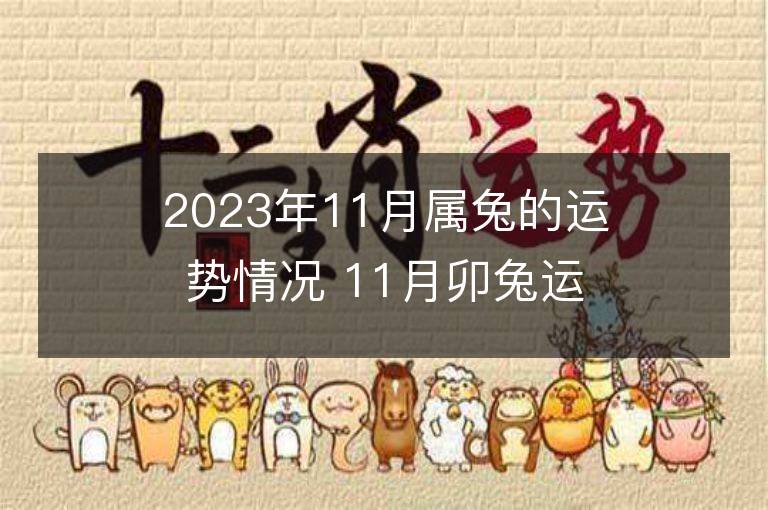 2023年11月屬兔的運勢情況 11月卯兔運程趨勢解說