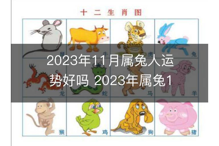 2023年11月屬兔人運勢好嗎 2023年屬兔11月運程如何