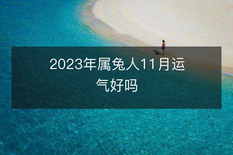 2023年屬兔人11月運氣好嗎