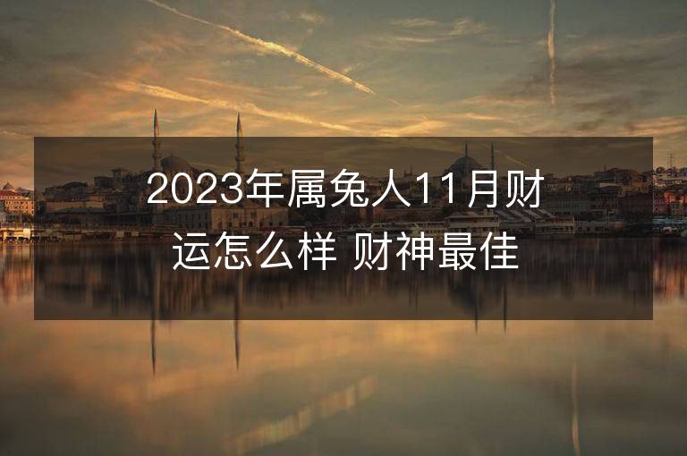 2023年屬兔人11月財運怎么樣 財神最佳方位