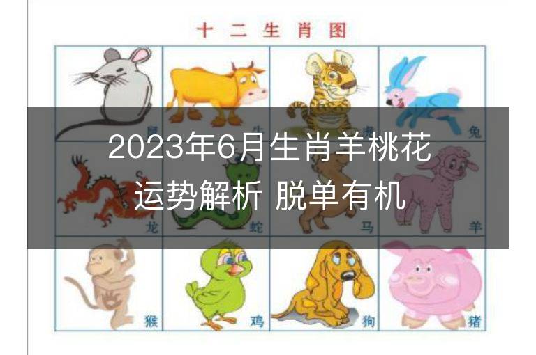 2023年6月生肖羊桃花運勢解析 脫單有機會嗎