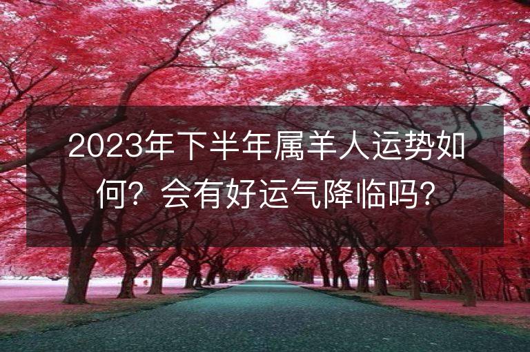 2023年下半年屬羊人運勢如何？會有好運氣降臨嗎？