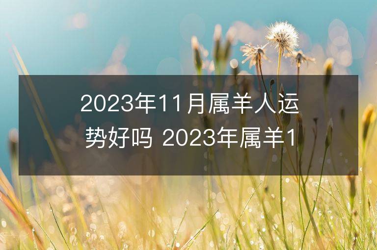 2023年11月屬羊人運(yùn)勢(shì)好嗎 2023年屬羊11月運(yùn)程如何