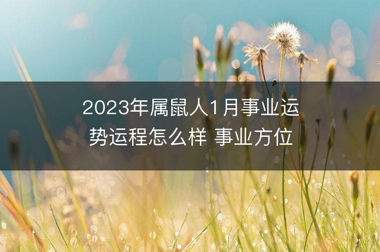 2023年屬鼠人1月事業運勢運程怎么樣 事業方位在哪里