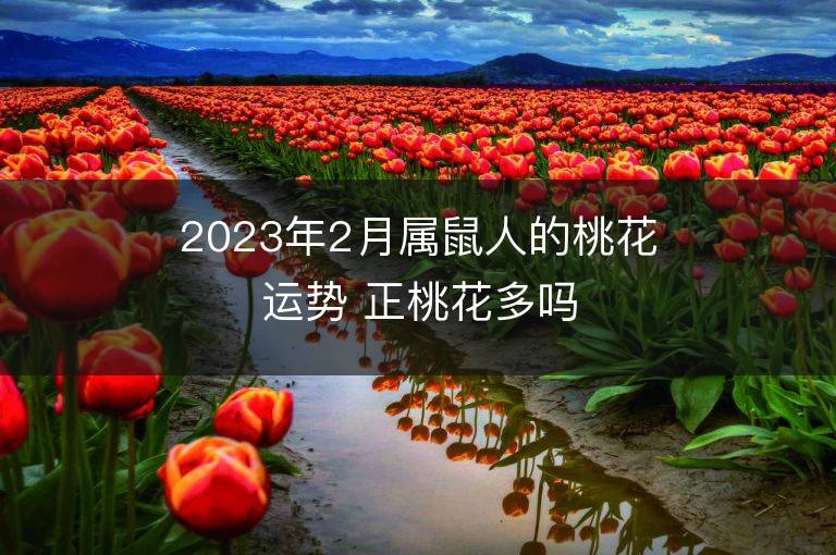 2023年2月屬鼠人的桃花運勢 正桃花多嗎