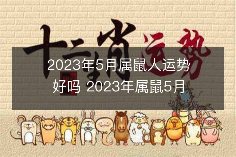 2023年5月屬鼠人運勢好嗎 2023年屬鼠5月運程如何