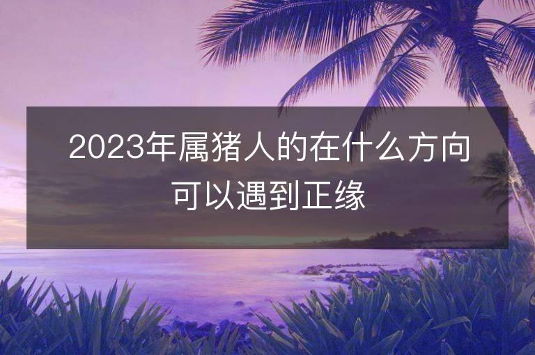 2023年屬豬人的在什么方向可以遇到正緣