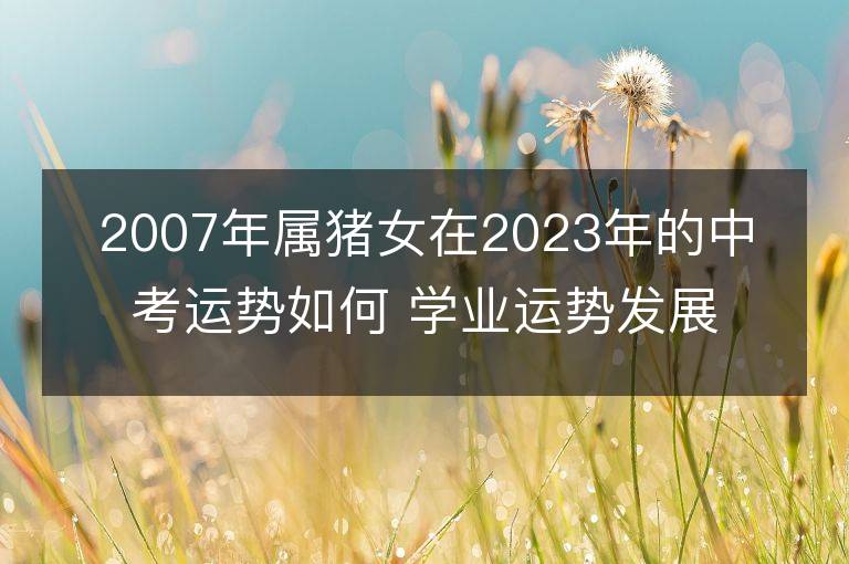 2007年屬豬女在2023年的中考運勢如何 學業運勢發展