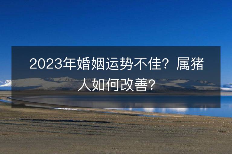 2023年婚姻運勢不佳？屬豬人如何改善？