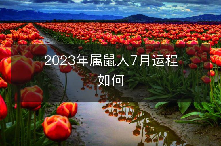 2023年屬鼠人7月運程如何