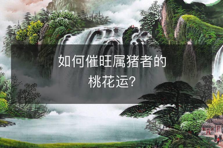 如何催旺屬豬者的桃花運(yùn)？