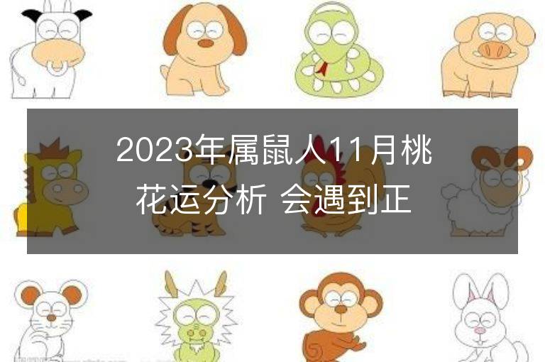 2023年屬鼠人11月桃花運分析 會遇到正緣嗎