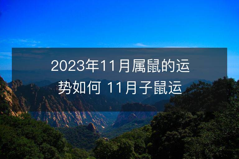 2023年11月屬鼠的運勢如何 11月子鼠運程詳解