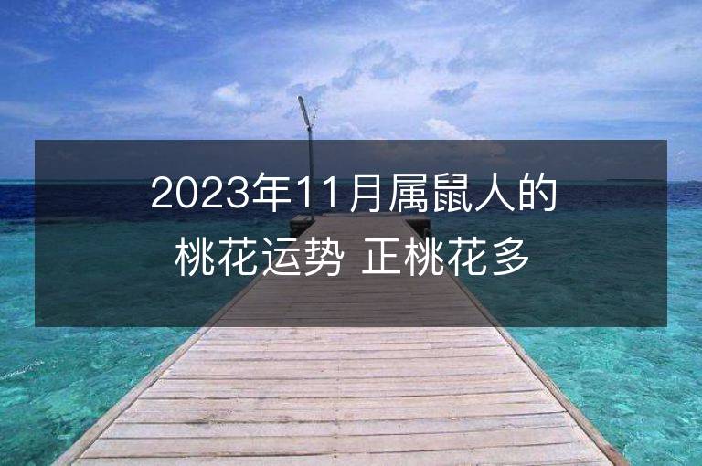 2023年11月屬鼠人的桃花運勢 正桃花多嗎