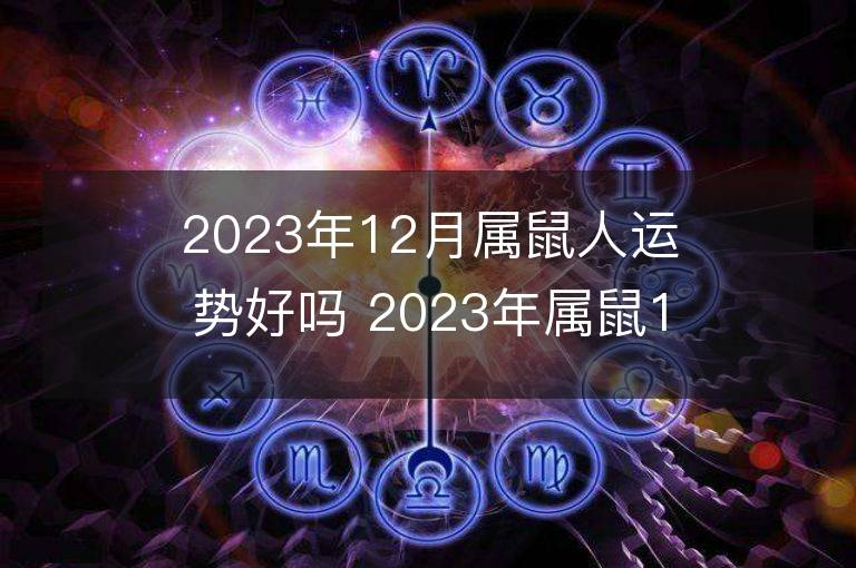 2023年12月屬鼠人運勢好嗎 2023年屬鼠12月運程如何