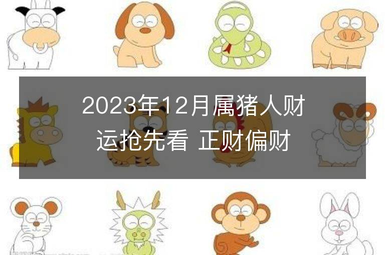 2023年12月屬豬人財運搶先看 正財偏財如何