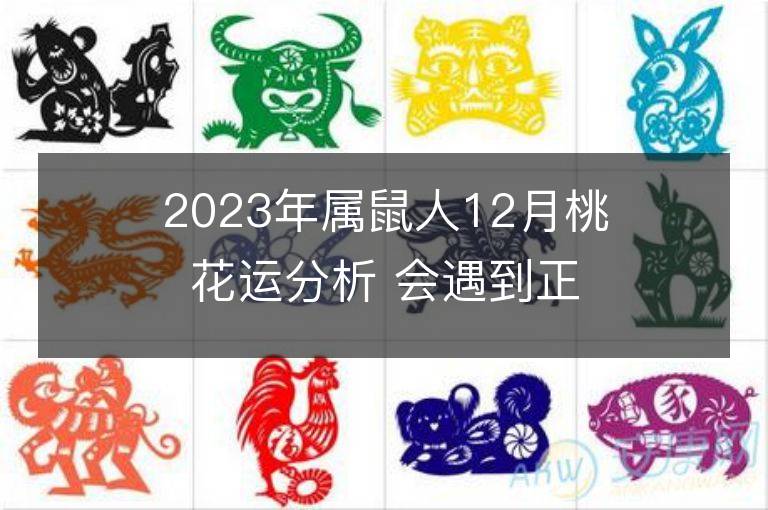 2023年屬鼠人12月桃花運分析 會遇到正緣嗎