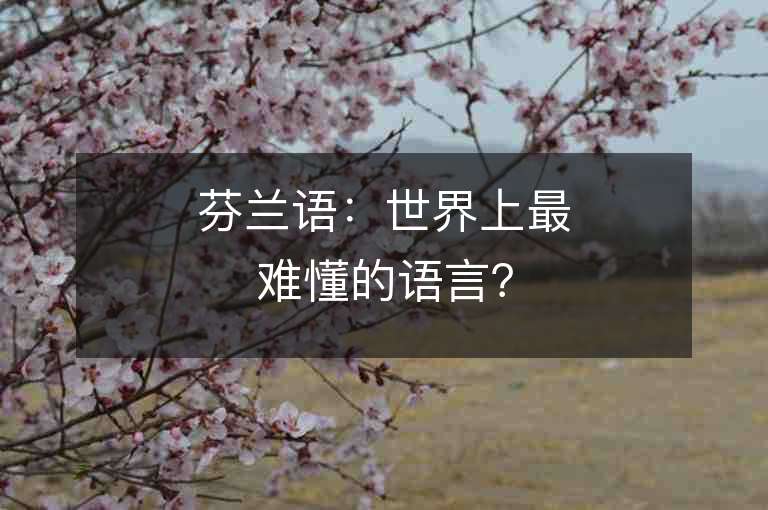 芬蘭語：世界上最難懂的語言？