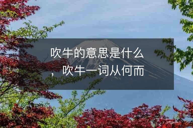 吹牛的意思是什么，吹牛一詞從何而來？