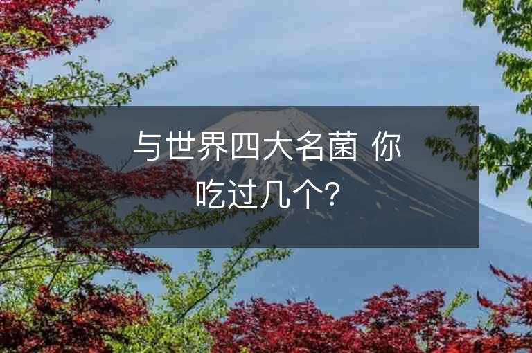 與世界四大名菌 你吃過幾個？