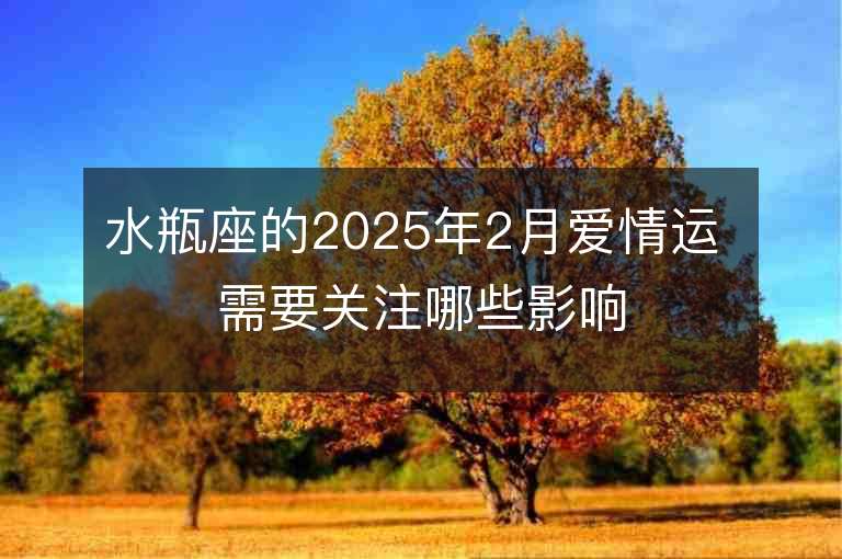 水瓶座的2025年2月愛情運 需要關注哪些影響