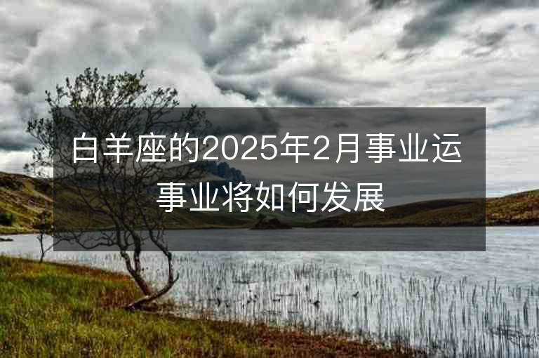 白羊座的2025年2月事業運 事業將如何發展