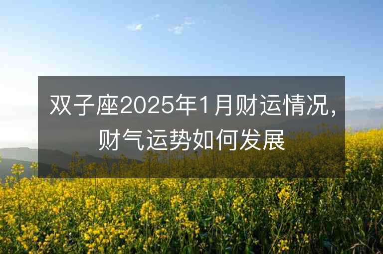 雙子座2025年1月財運情況，財氣運勢如何發展