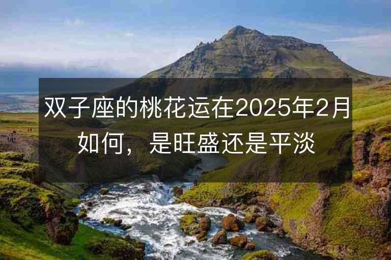 雙子座的桃花運在2025年2月如何，是旺盛還是平淡