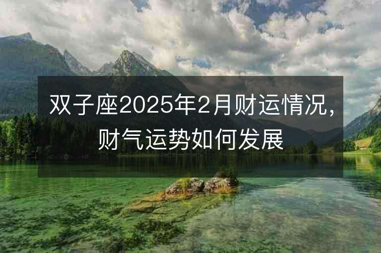 雙子座2025年2月財運情況，財氣運勢如何發展