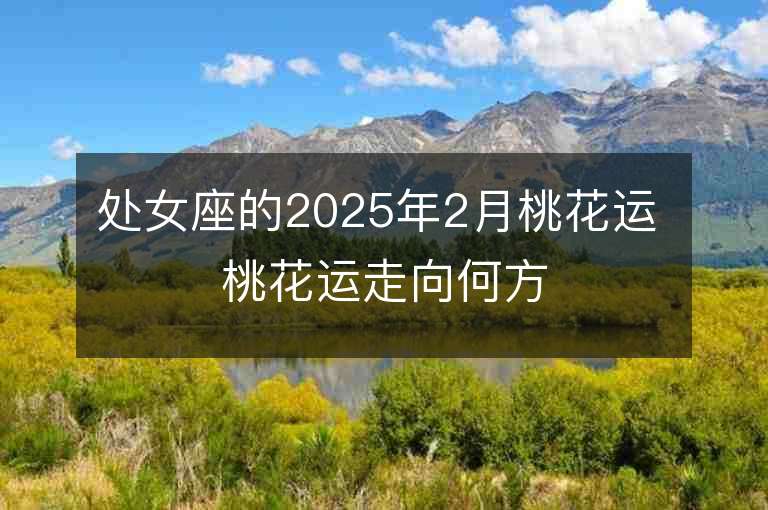 處女座的2025年2月桃花運 桃花運走向何方